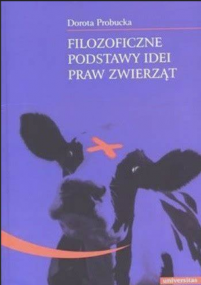 Zrzut ekranu 2025-05-16 213529